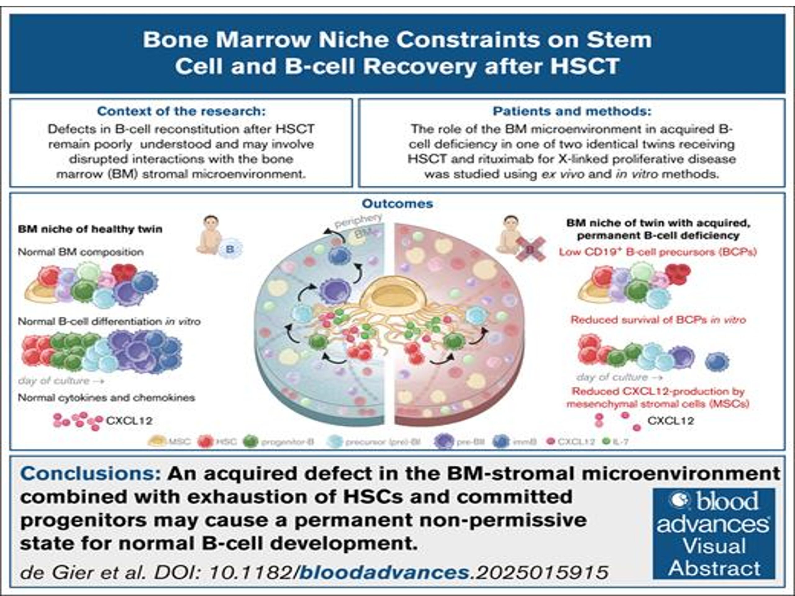 Acquired bone marrow niche dysfunction impairs hematopoiesis after HSCT